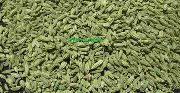 fennel seeds